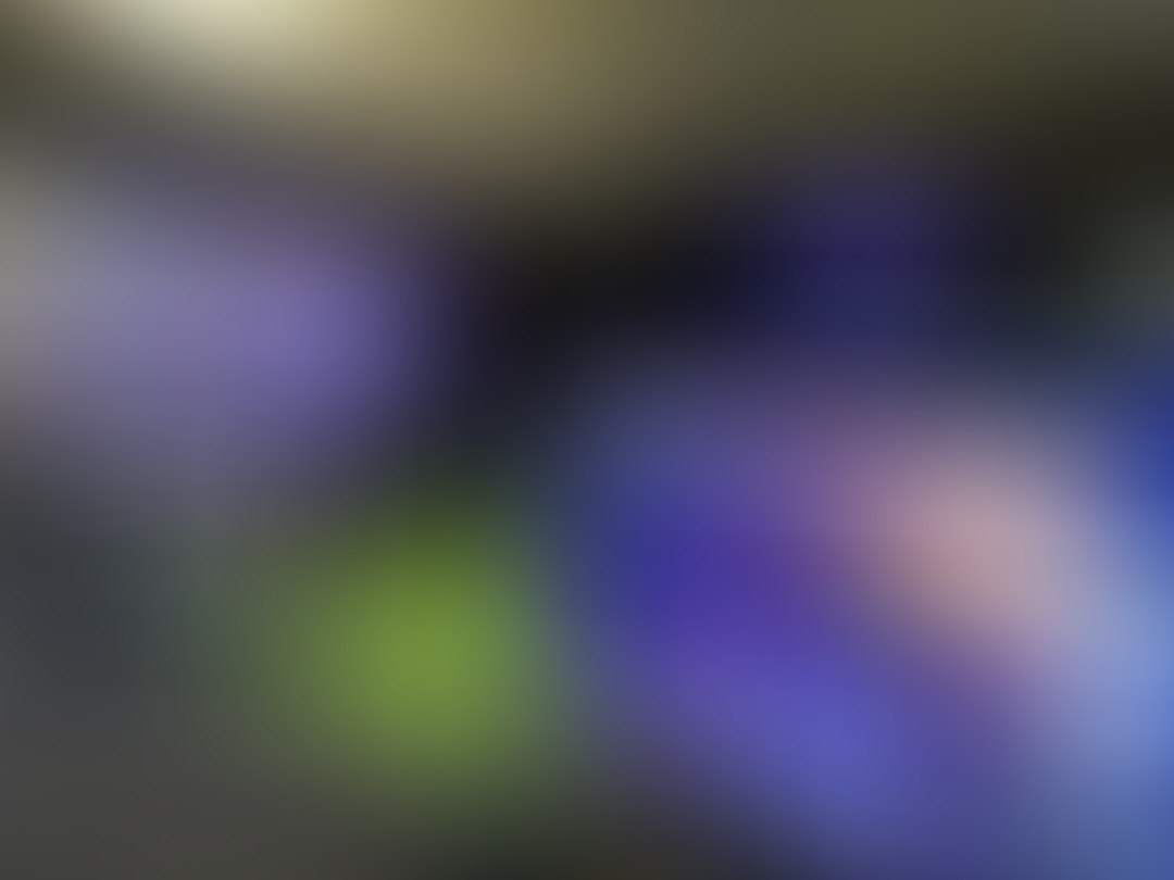 Behind the Scenes of VI’s behind