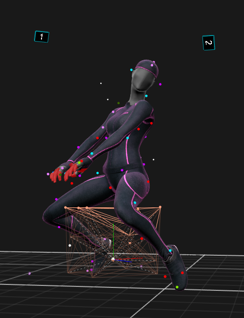 Largest Collection of Adult Pro Motion Capture?  Probably. (Part 1:  Intro)